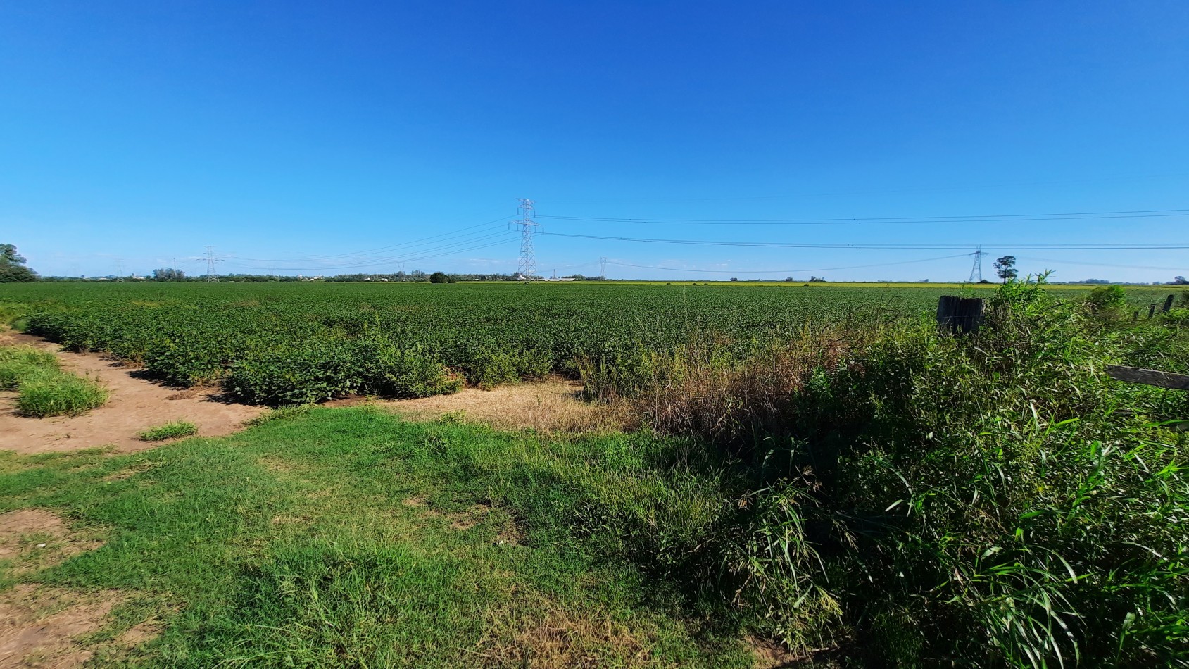 Campo agricola de 15 hectareas en Theobald (Santa Fe)