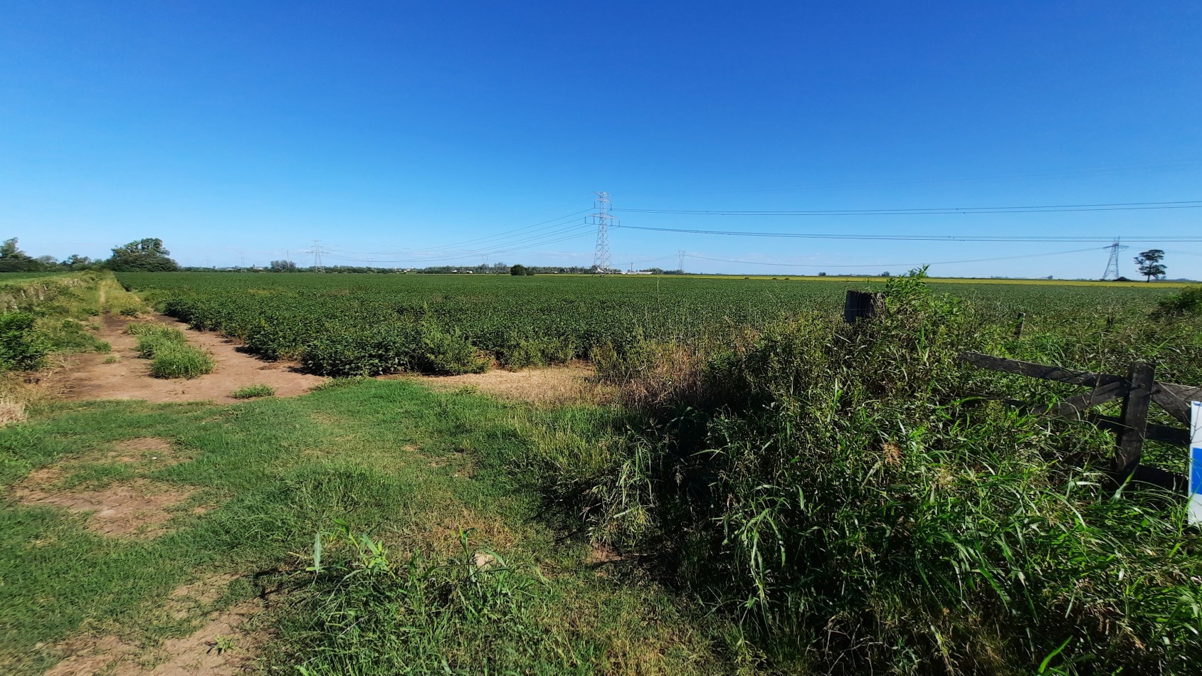 Campo agricola de 15 hectareas en Theobald (Santa Fe)