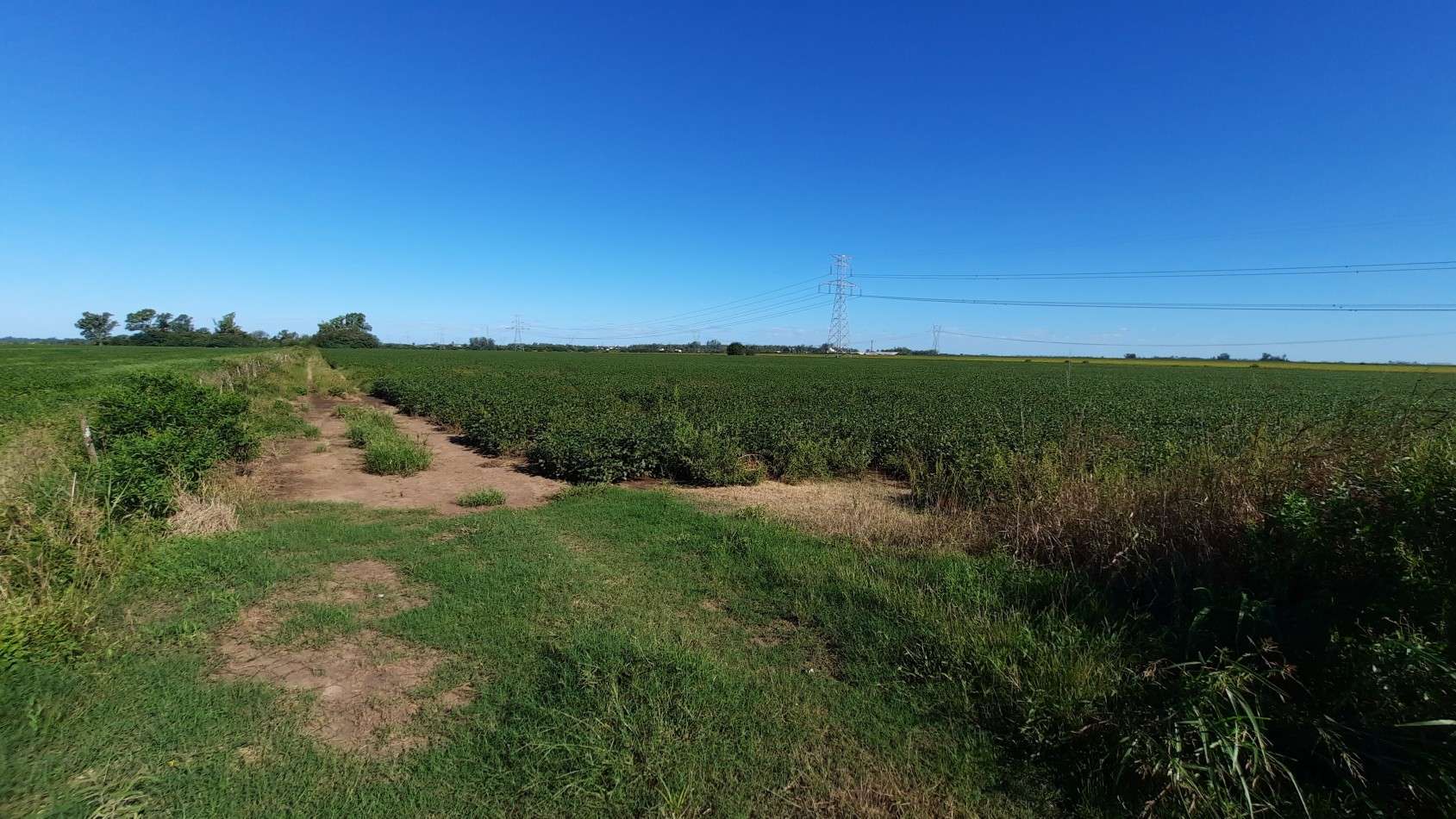 Campo agricola de 15 hectareas en Theobald (Santa Fe)