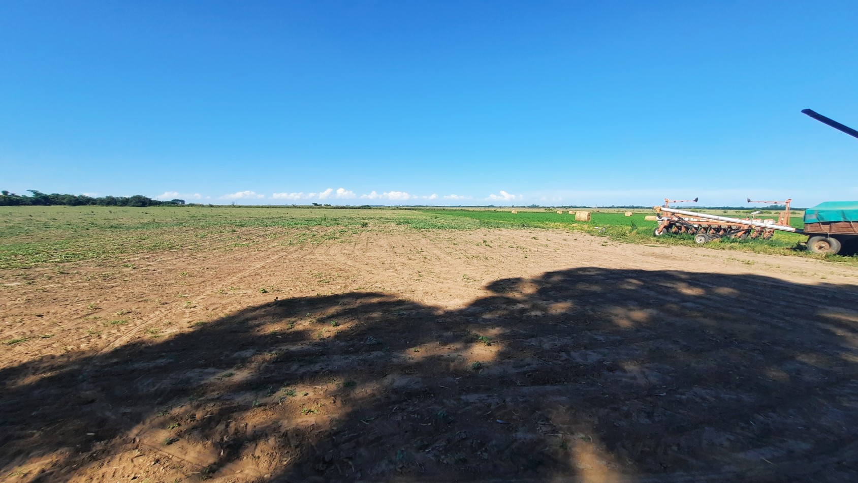 Campo agricola de 40 hectareas en Rueda (Santa Fe)