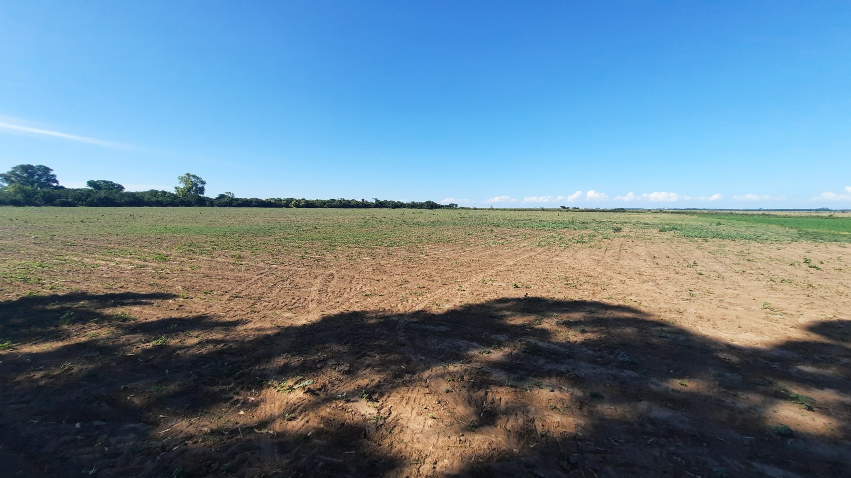 Campo agricola de 40 hectareas en Rueda (Santa Fe)