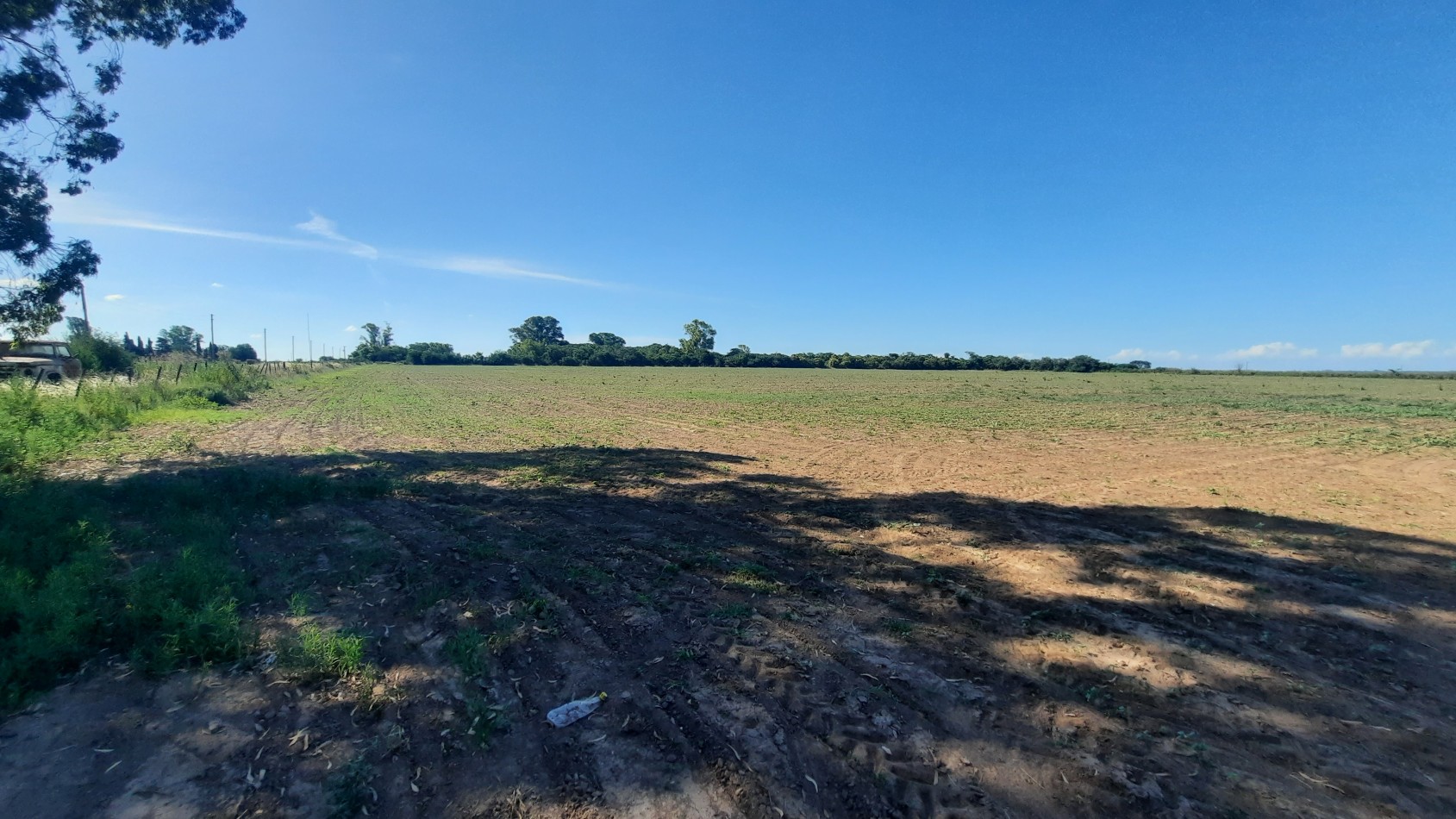 Campo agricola de 40 hectareas en Rueda (Santa Fe)