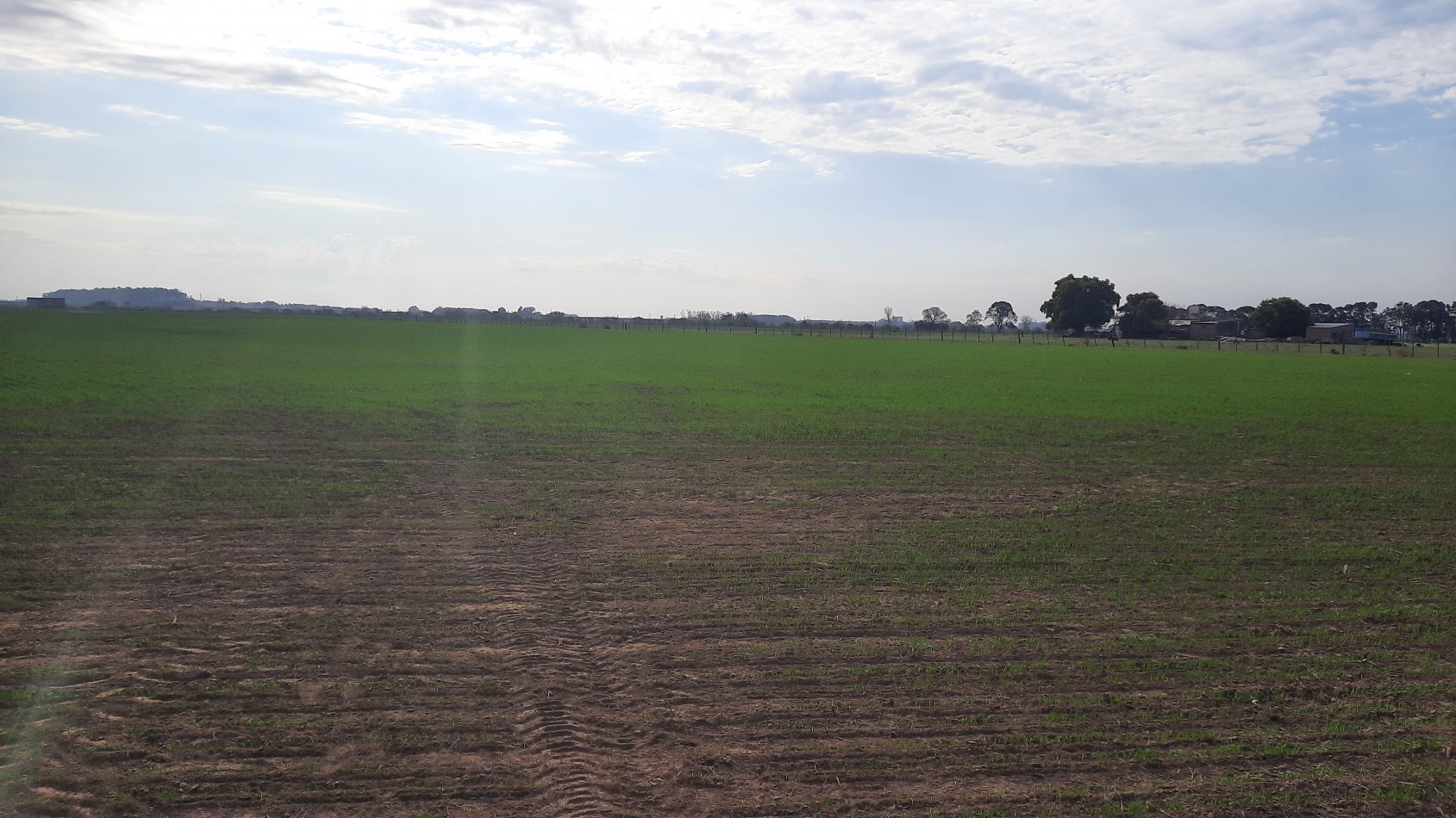 Campo agricola de 24,5 hectareas con mejoras en San Nicolas
