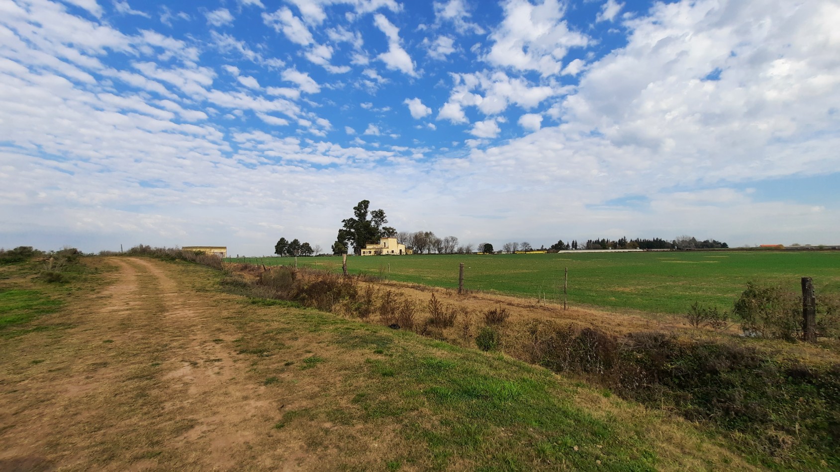 Campo agricola de 24,5 hectareas con mejoras en San Nicolas