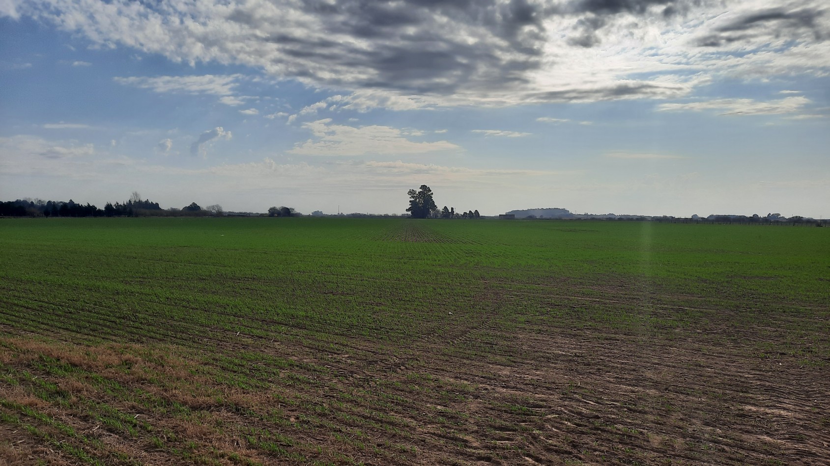 Campo agricola de 24,5 hectareas con mejoras en San Nicolas