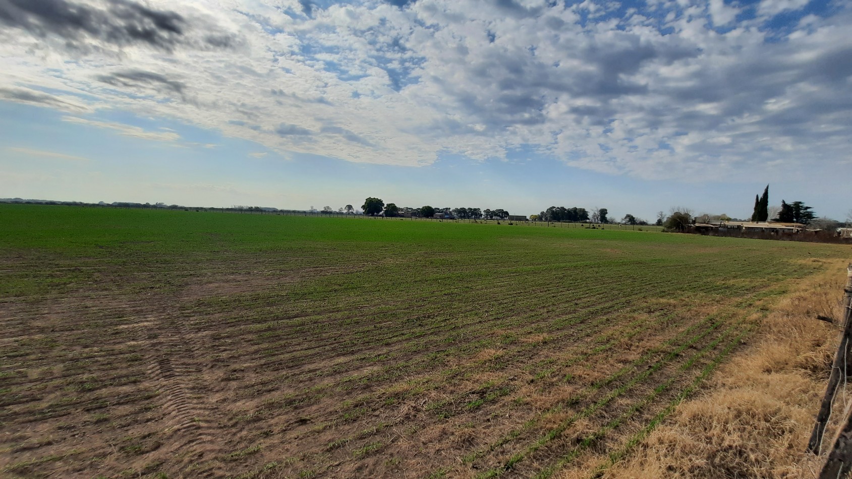 Campo agricola de 24,5 hectareas con mejoras en San Nicolas