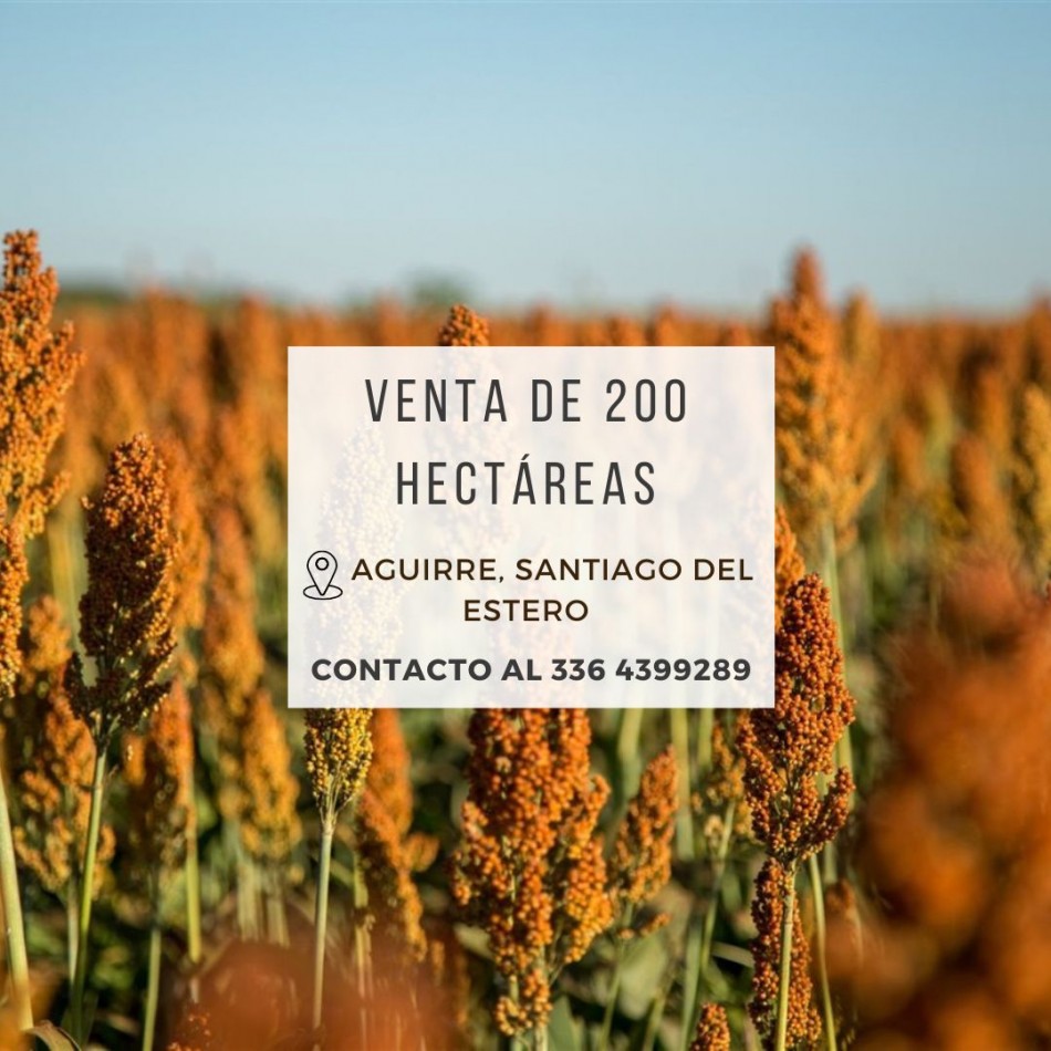 Campo de 200 Has en Aguirre (Sgo. del Estero)