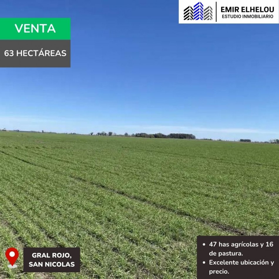 Campo mixto de 63 hectareas en General Rojo