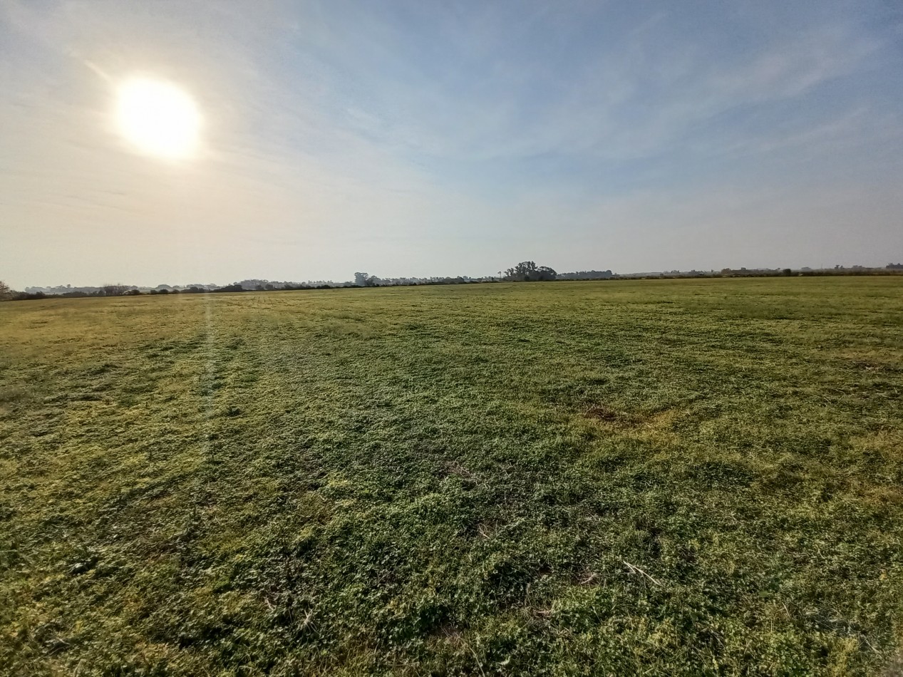 Campo agricola de 17,41 hectareas en General Rojo