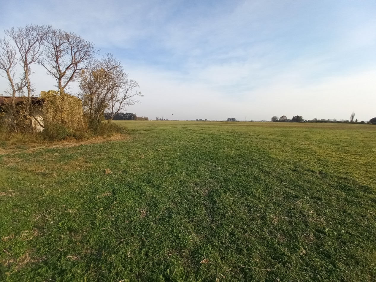 Campo agricola de 17,41 hectareas en General Rojo