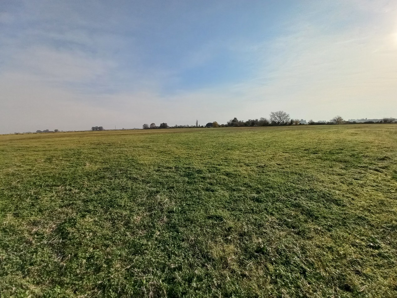 Campo agricola de 17,41 hectareas en General Rojo