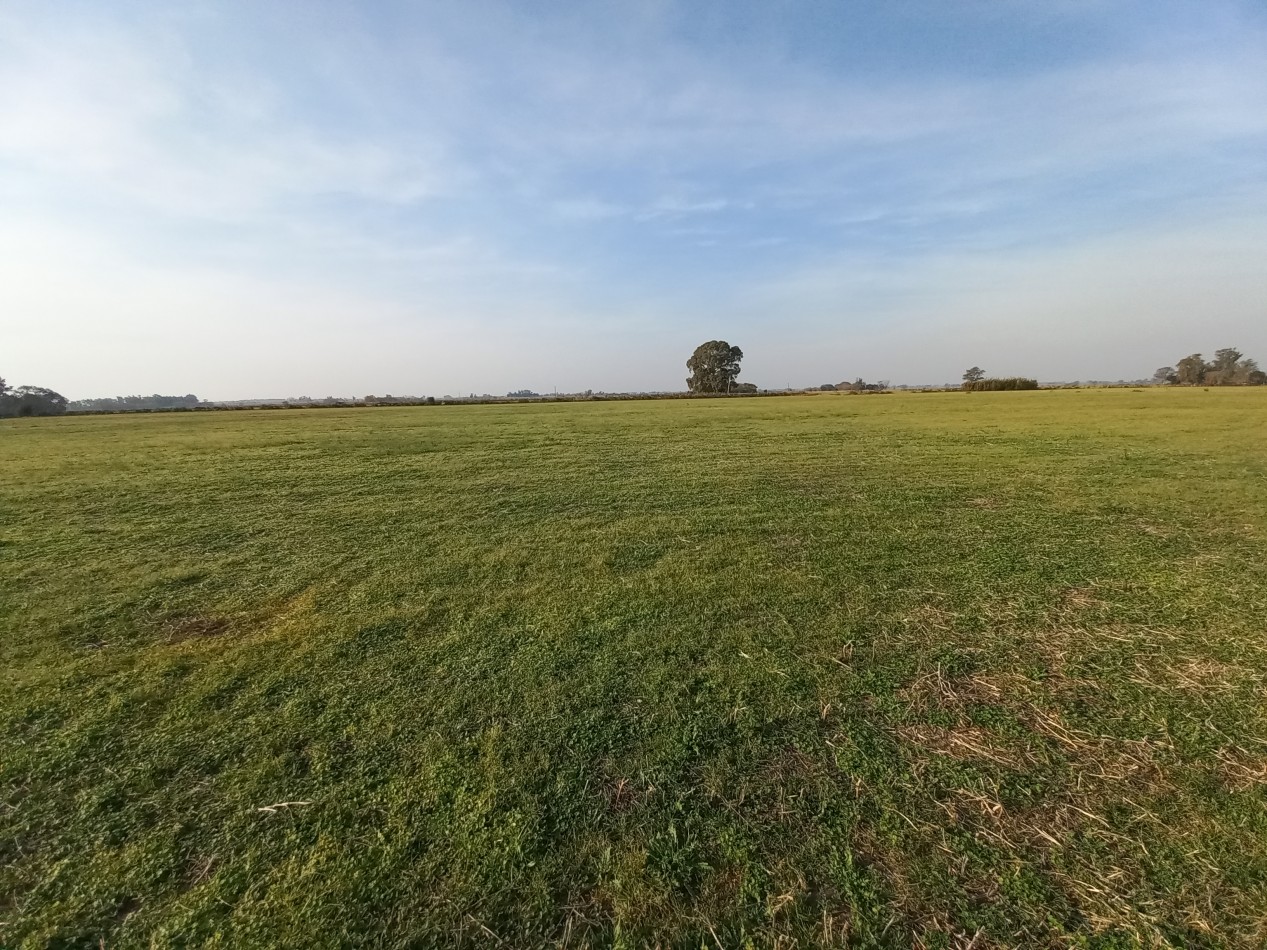 Campo agricola de 17,41 hectareas en General Rojo