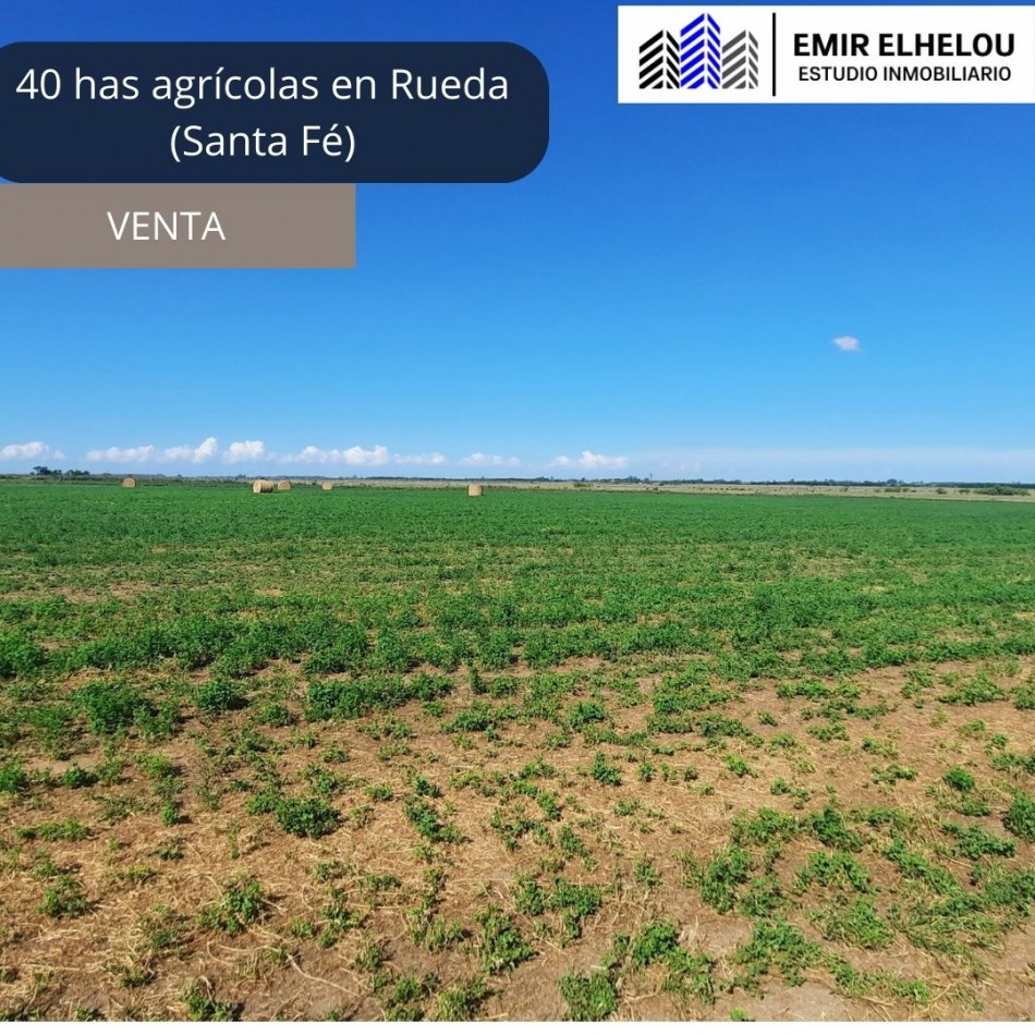 Campo agricola de 40 hectareas en Rueda (Santa Fe)