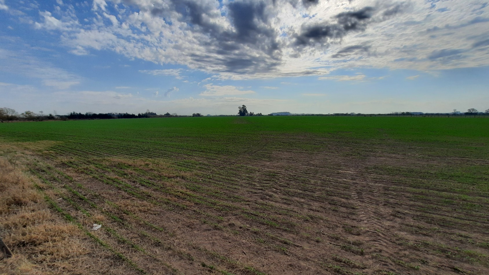 Campo agricola de 24,5 hectareas con mejoras en San Nicolas