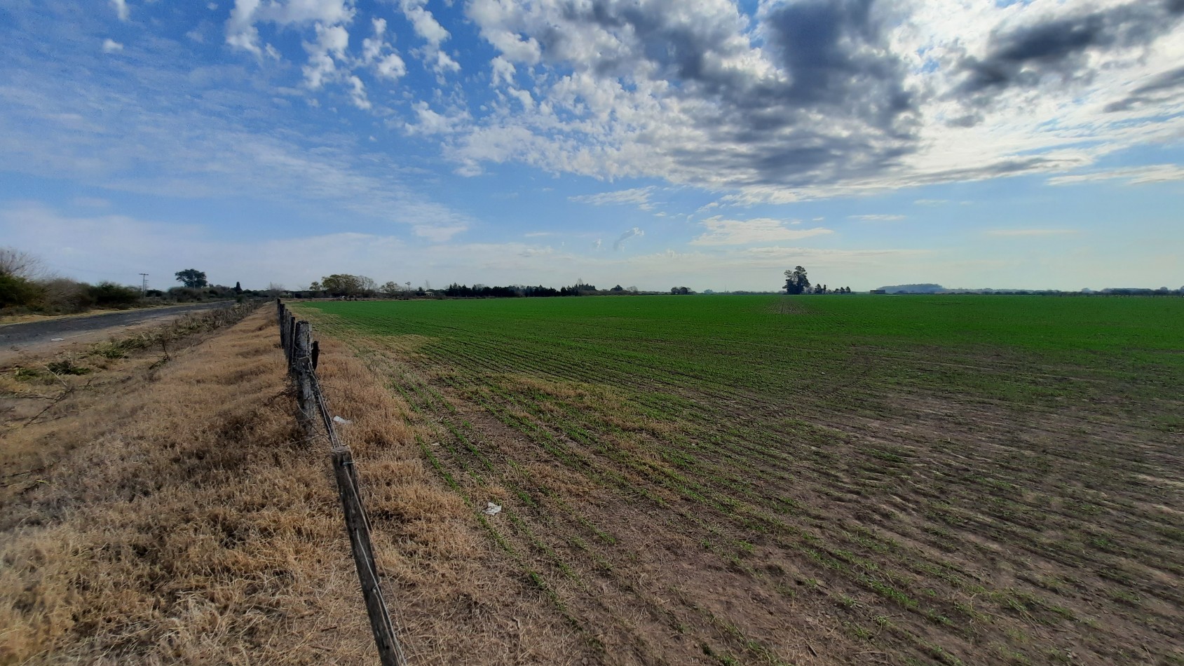 Campo agricola de 24,5 hectareas con mejoras en San Nicolas