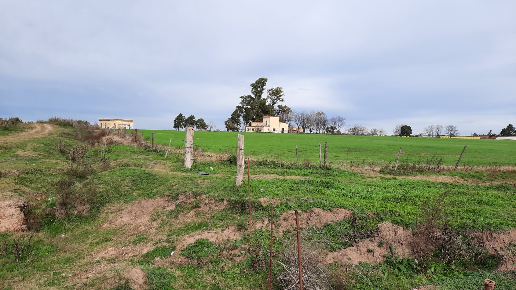 Campo agricola de 24,5 hectareas con mejoras en San Nicolas