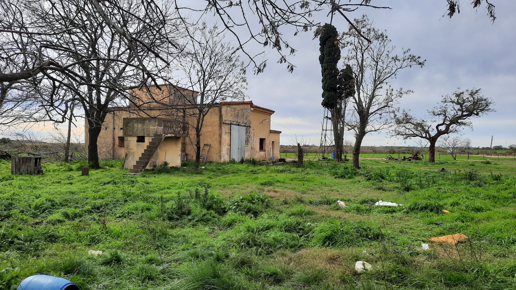 Campo agricola de 24,5 hectareas con mejoras en San Nicolas