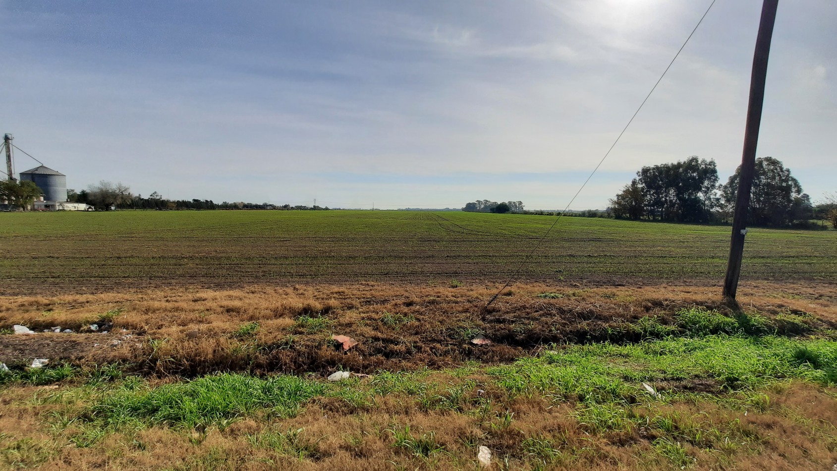 Excelente campo de 4,5 hectareas sobre Ruta 188 (multiples proyectos)