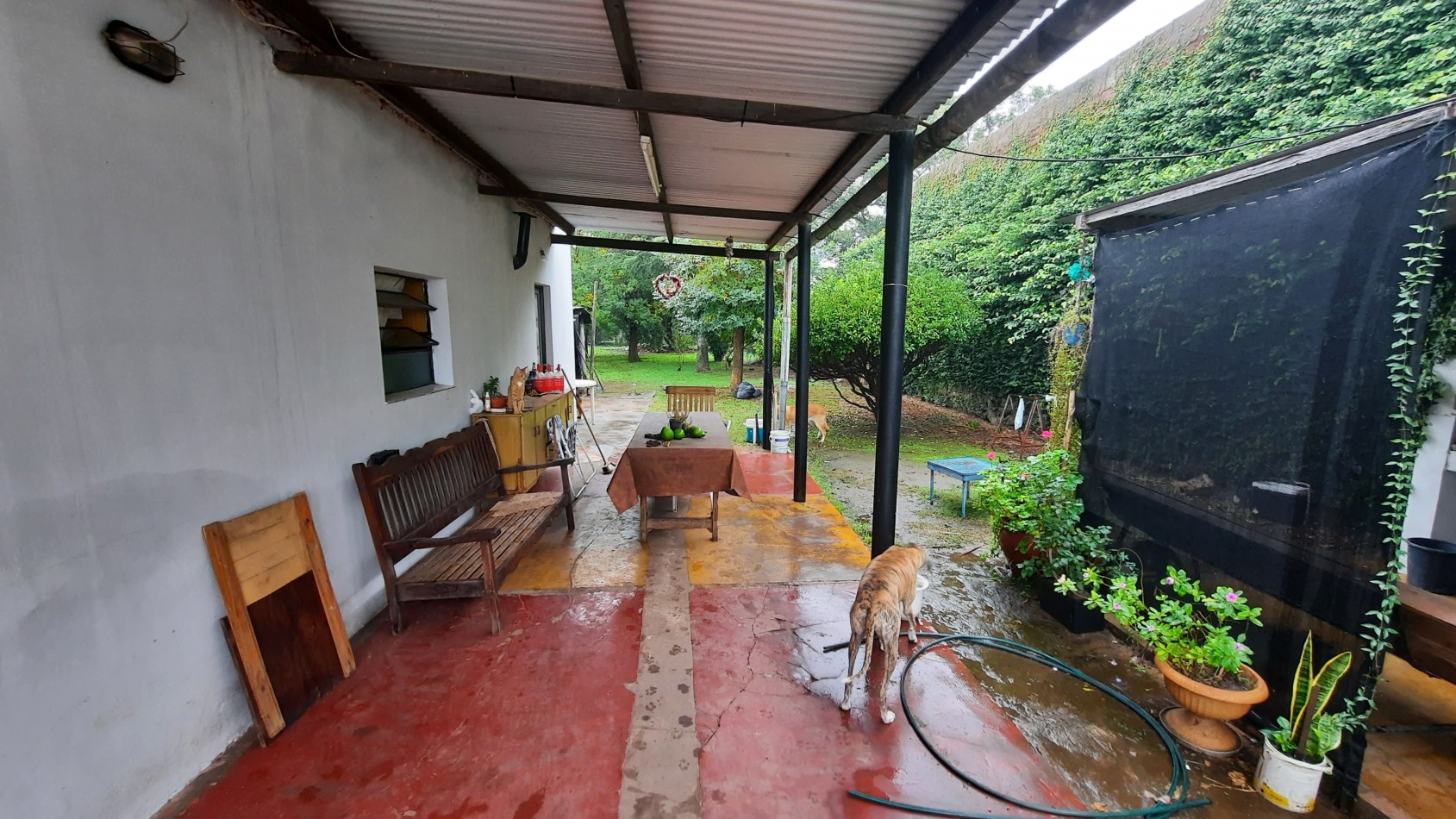 Casa de 3 dormitorios en amplio lote en General Rojo