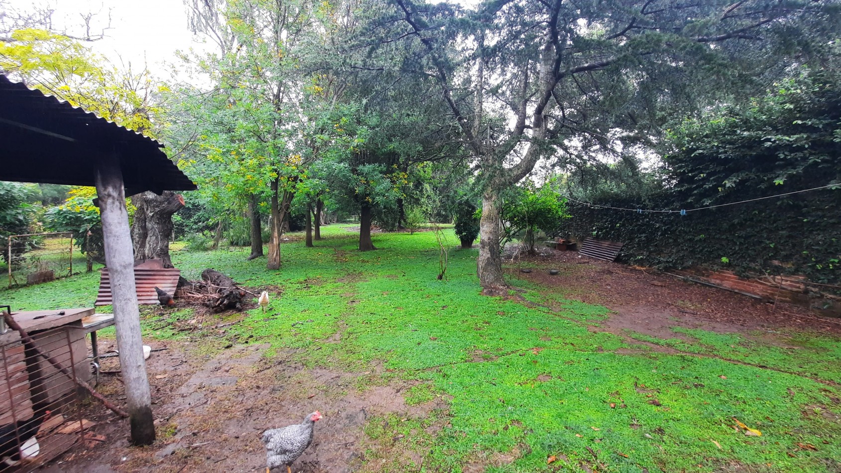 Casa de 3 dormitorios en amplio lote en General Rojo