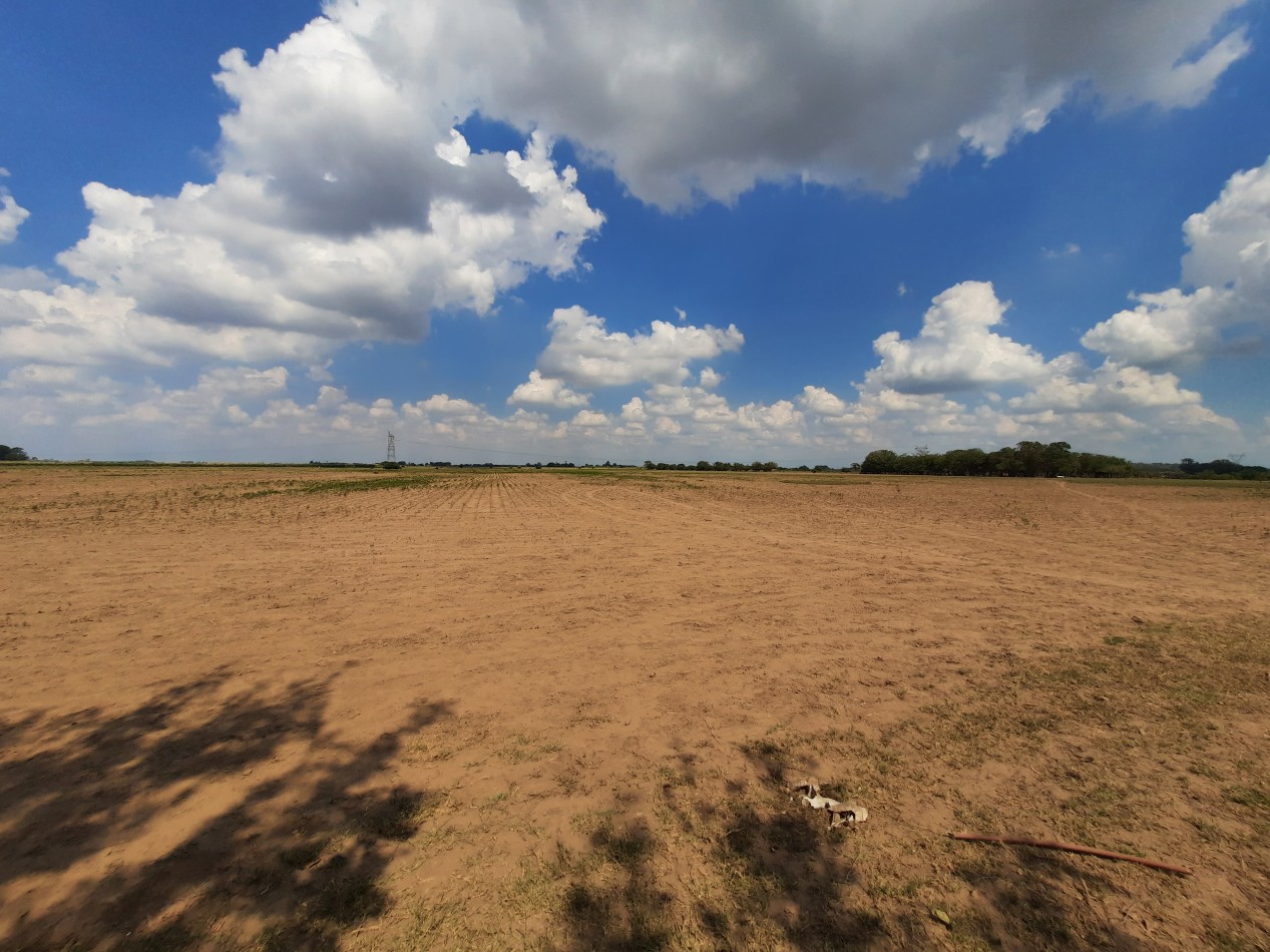 Campo de 42,5 hectareas agricolas en San Nicolas