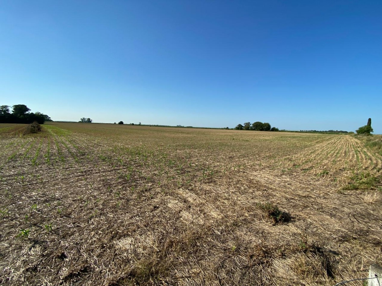 Campo agricola de 9,3 hectareas en Ramallo 