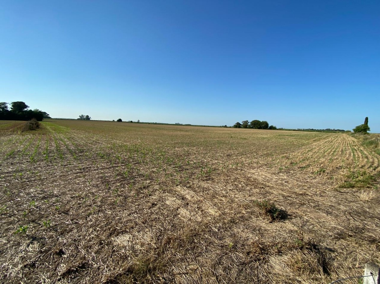 Campo agricola de 9,3 hectareas en Ramallo 