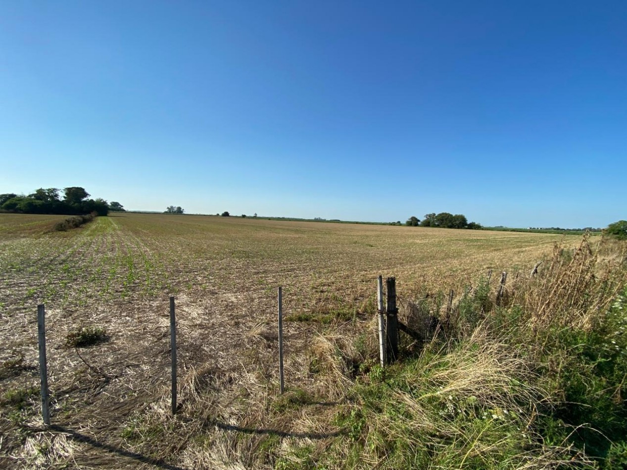 Campo agricola de 9,3 hectareas en Ramallo 