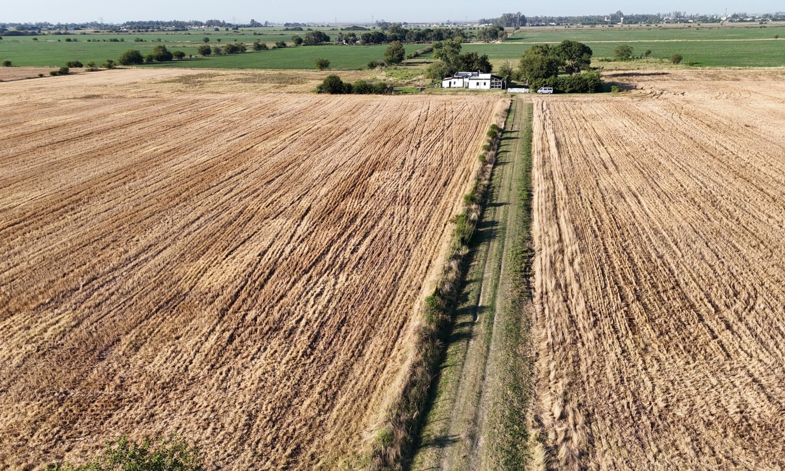 Campo de 12,5 hectareas en San Nicolas (Sobre Autopista Bs As Rosario)