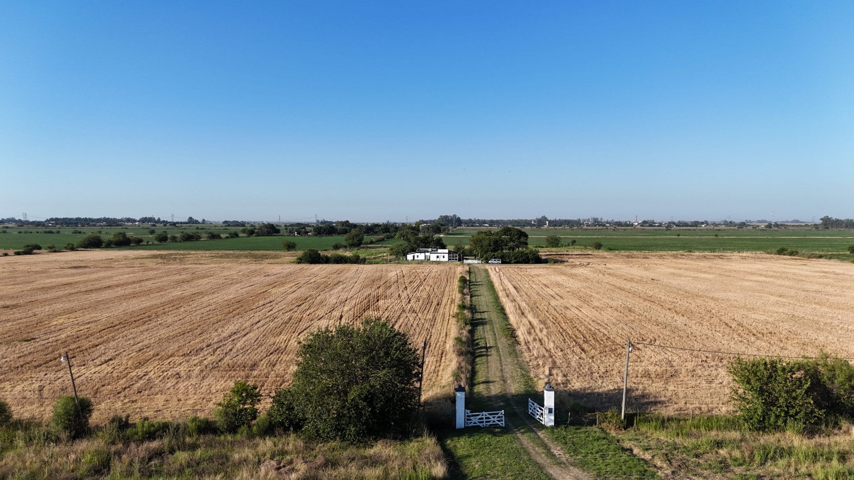 Campo de 12,5 hectareas en San Nicolas (Sobre Autopista Bs As Rosario)