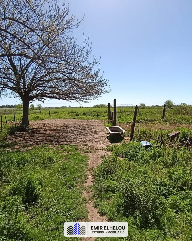 Campo de 3,88 hectareas en San Nicolas (sobre camino Nacion)