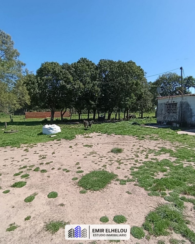 Campo de 3,88 hectareas en San Nicolas (sobre camino Nacion)