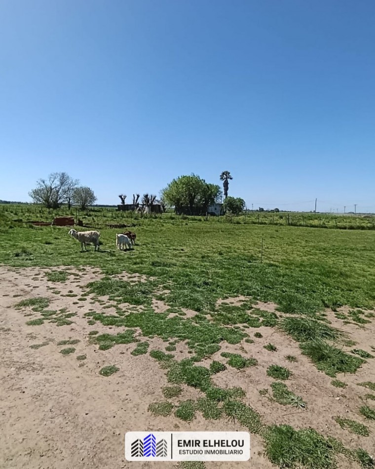 Campo de 3,88 hectareas en San Nicolas (sobre camino Nacion)