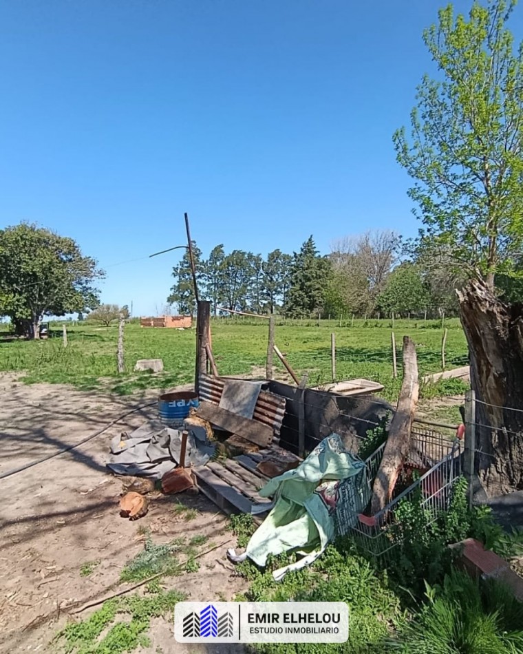 Campo de 3,88 hectareas en San Nicolas (sobre camino Nacion)