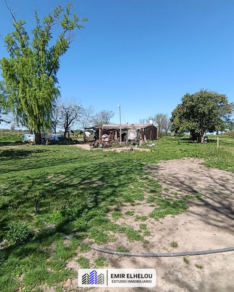 Campo de 3,88 hectareas en San Nicolas (sobre camino Nacion)