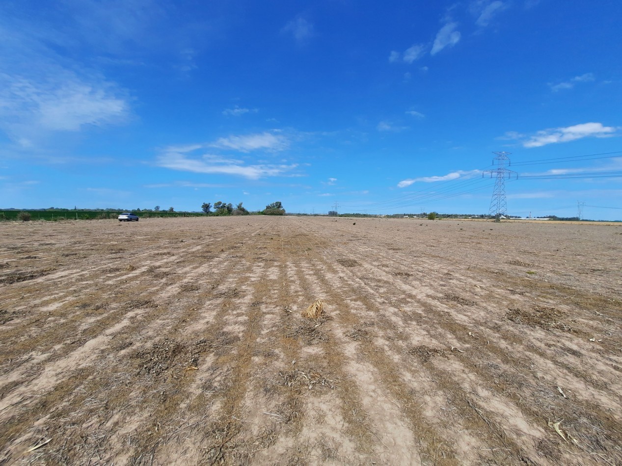 Campo agricola de 15 hectareas en Theobald (Santa Fe)
