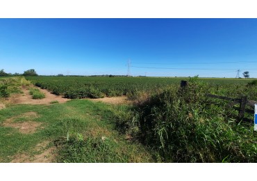 Campo agricola de 15 hectareas en Theobald (Santa Fe)