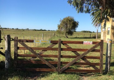Campo ganadero de 73 hectareas con mejoras en Magdalena