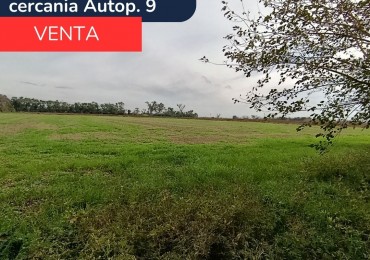 Campo de 9 hectareas en San Nicolas