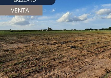 Campo de 1,6 Hectareas en Erezcano ideal descanso