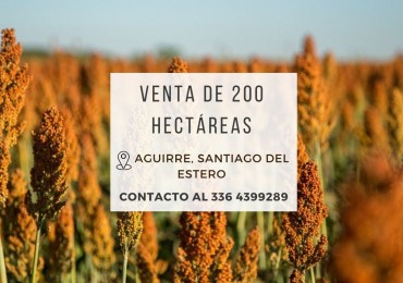 Campo de 200 Has en Aguirre (Sgo. del Estero)