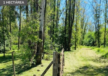 Lote de 1 hectarea en Estancia Estrella Federal