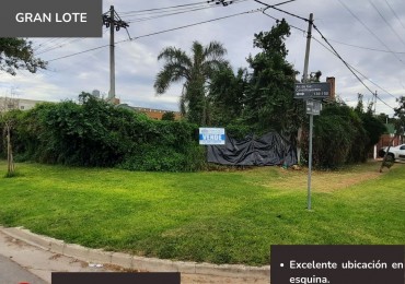 GRAN LOTE EN LAVALLE Y AV. DE LOS CONSTITUYENTES