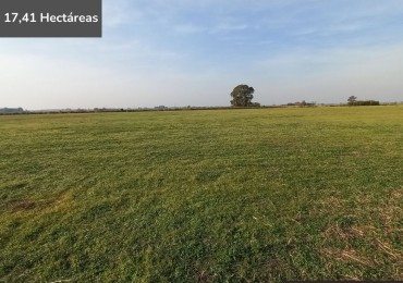 Campo agricola de 17,41 hectareas en General Rojo