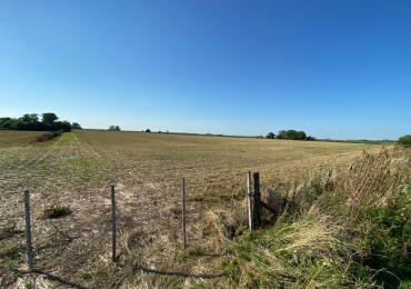 Campo agricola de 9,3 hectareas en Ramallo 