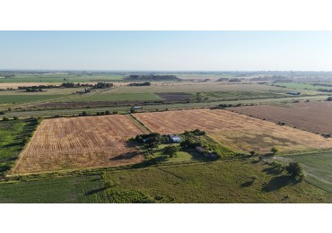 Campo de 12,5 hectareas en San Nicolas (Sobre Autopista Bs As Rosario)