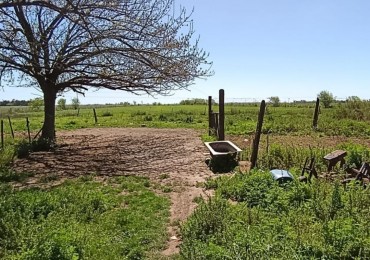 Campo de 3,88 hectareas en San Nicolas (sobre camino Nacion)