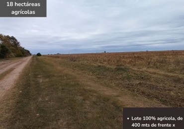 Campo agricola de 18 hectareas en Pavon (Santa Fe)